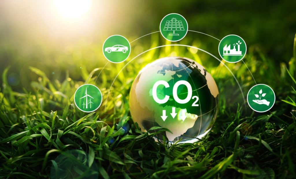 Is Asia Pivotal in the Global Transition to Net Zero?